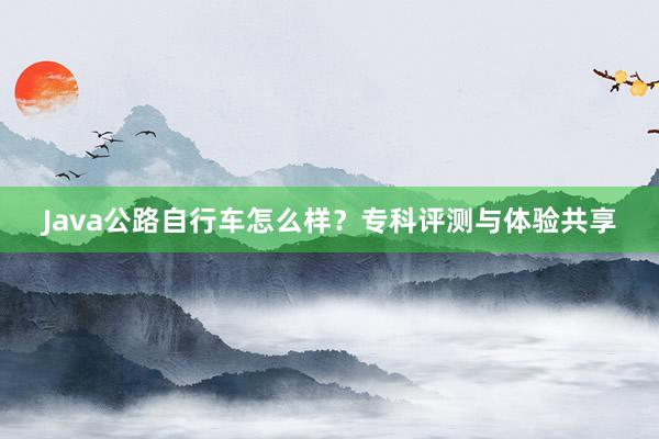 Java公路自行车怎么样？专科评测与体验共享