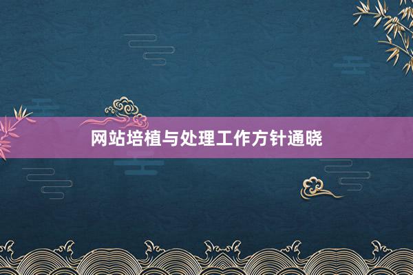 网站培植与处理工作方针通晓